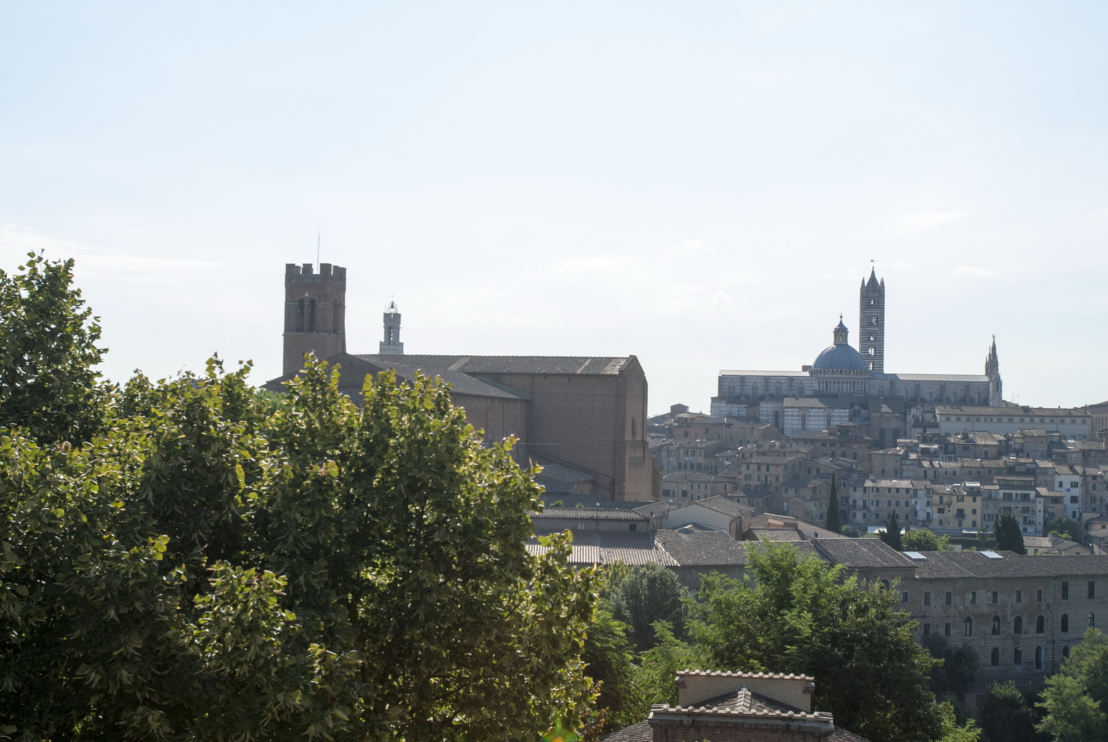 Siena