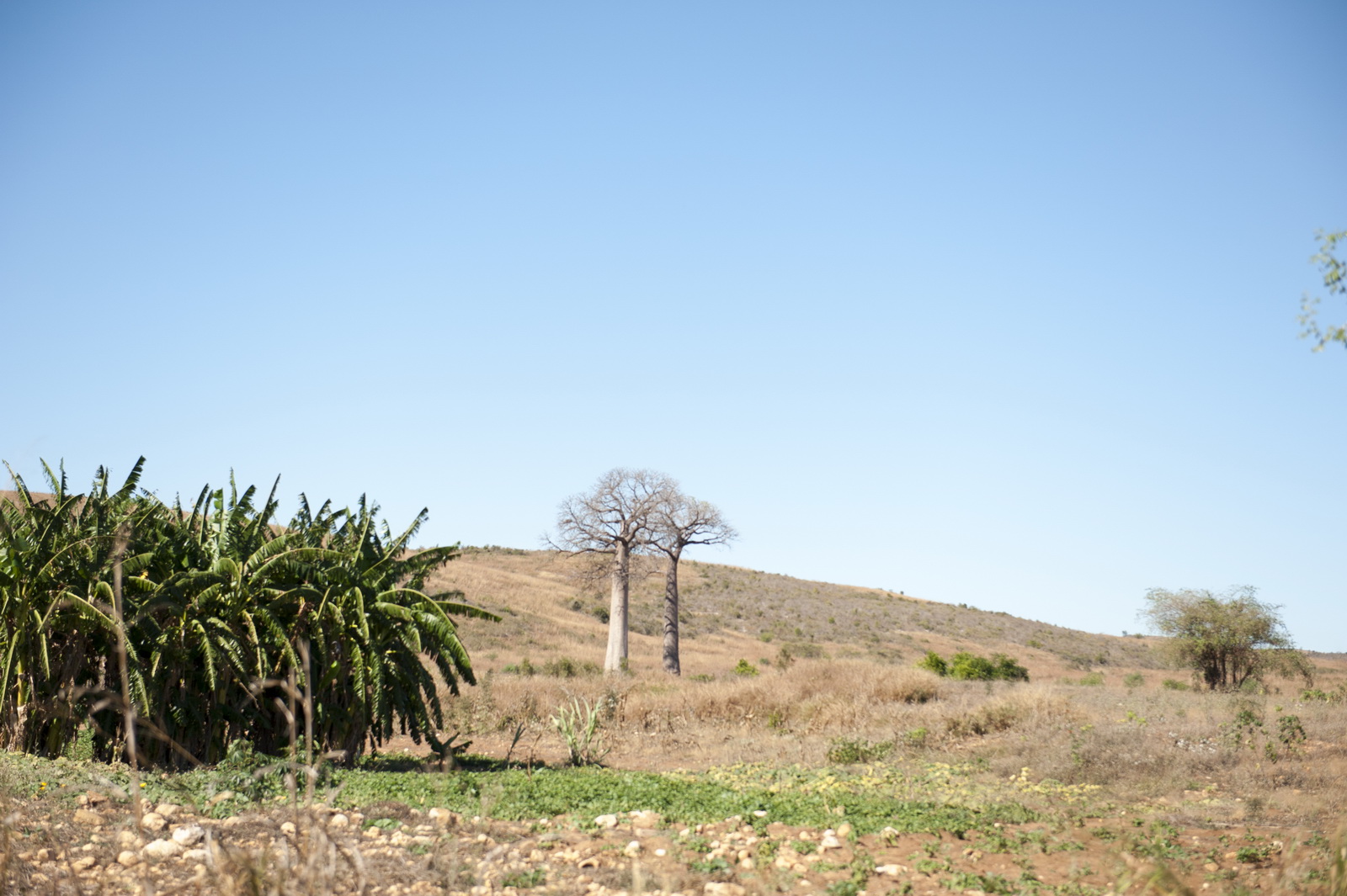  DSC9740