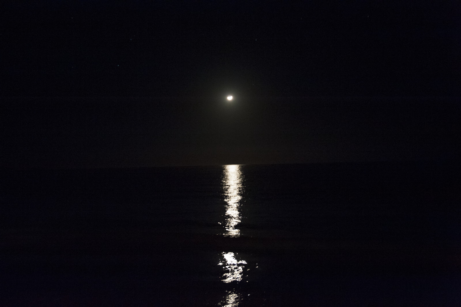 Amarina