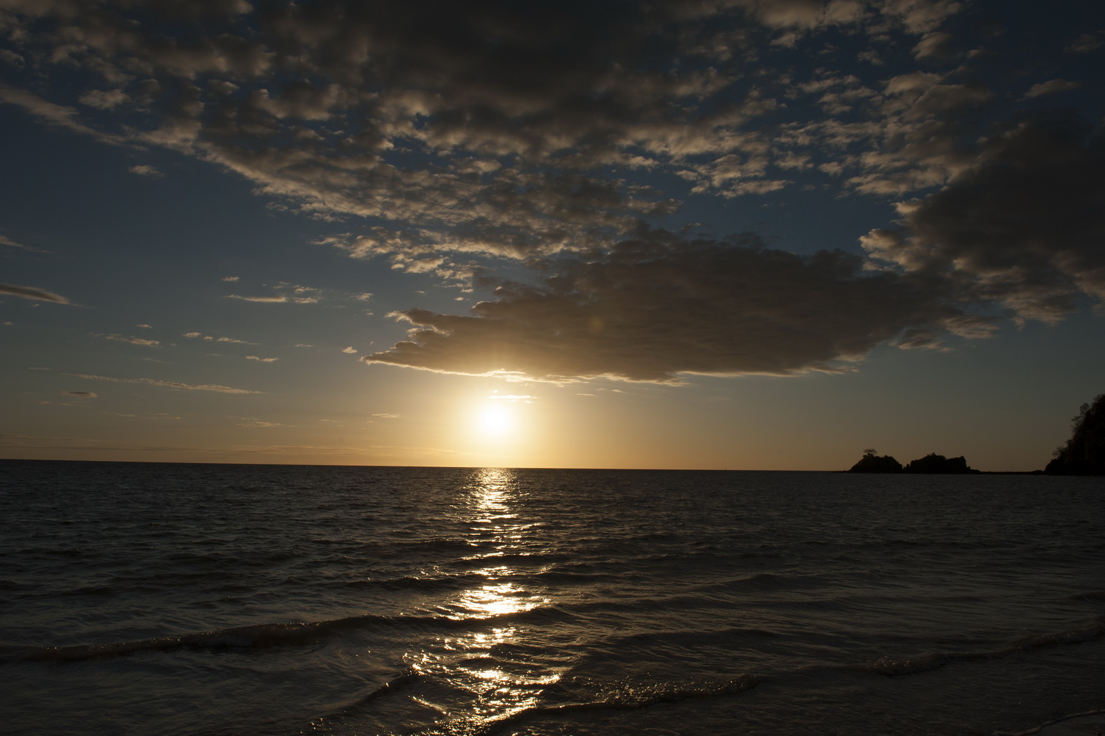 Amarina
