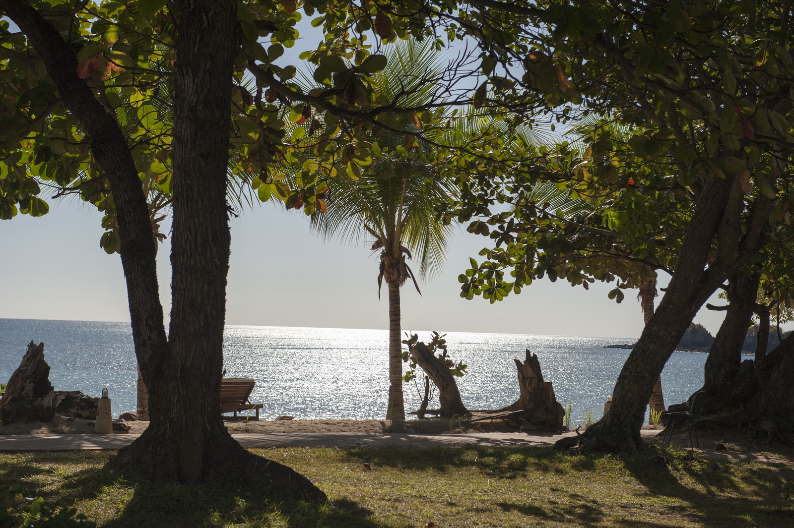 Amarina